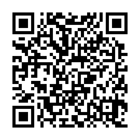 QR code for XNF335