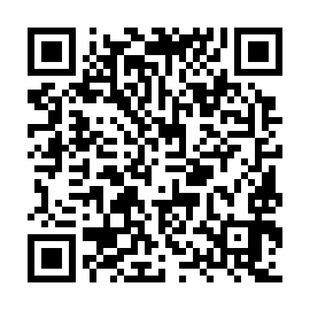QR code for XQE393