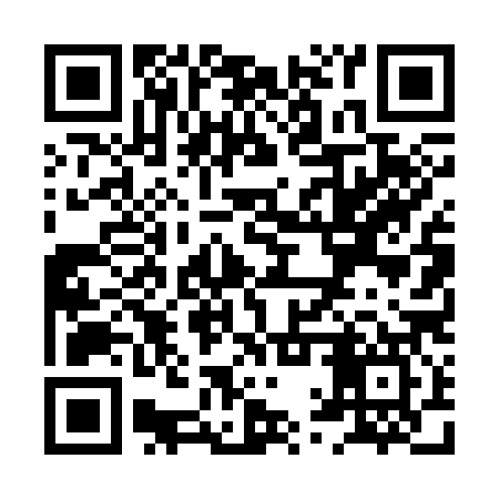 QR code for XQT387