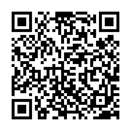 QR code for XSL493