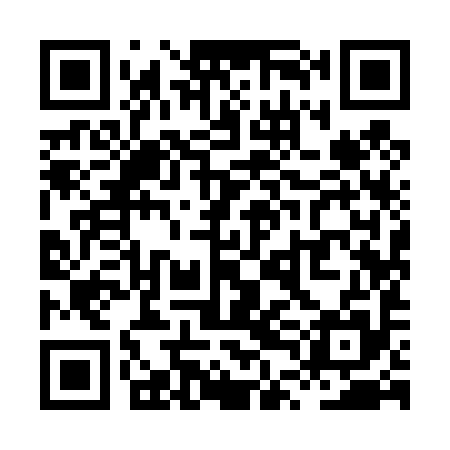 QR code for XTI495
