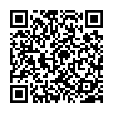 QR code for XXX729