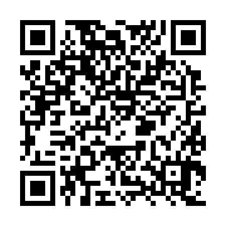 QR code for XYF384