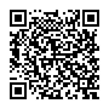 QR code for YAG951