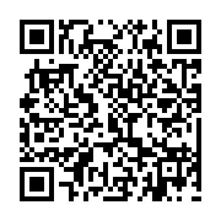QR code for YBB993