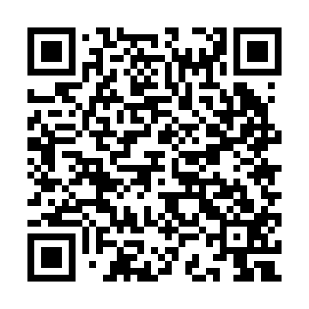 QR code for YCE213