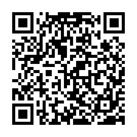 QR code for YLV117