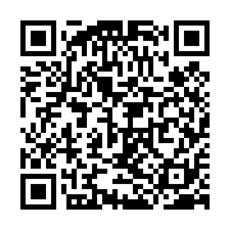 QR code for YLW411