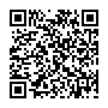 QR code for YNX981