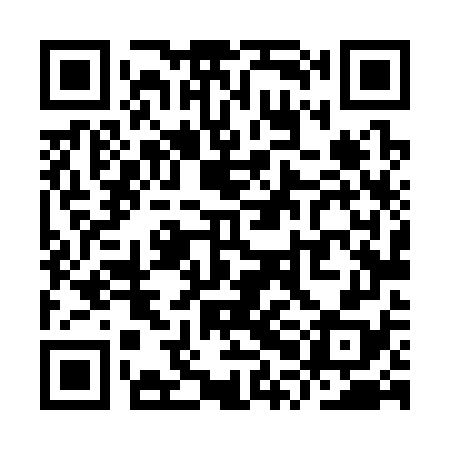 QR code for YPL378