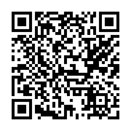 QR code for YPZ811
