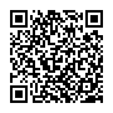 QR code for YSE795