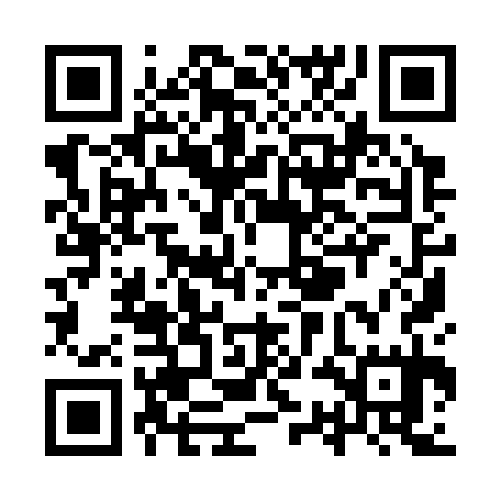 QR code for YSI335