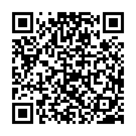 QR code for YSP869