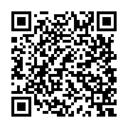 QR code for YSV955