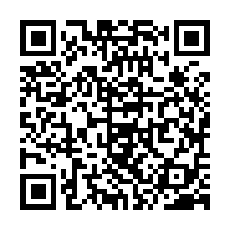QR code for YSZ919