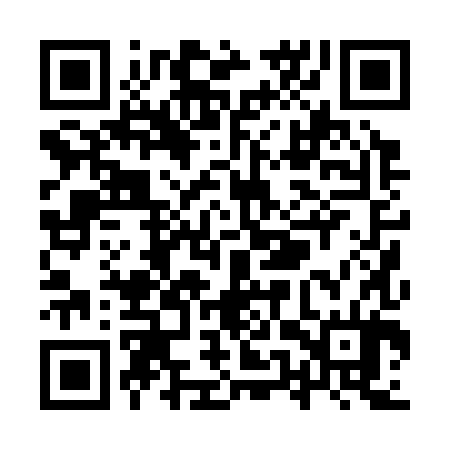 QR code for YUP384
