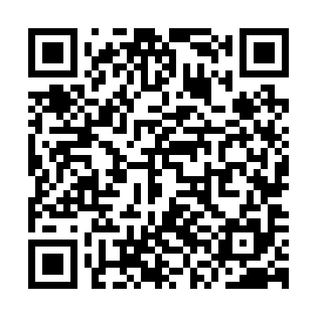 QR code for YVN295