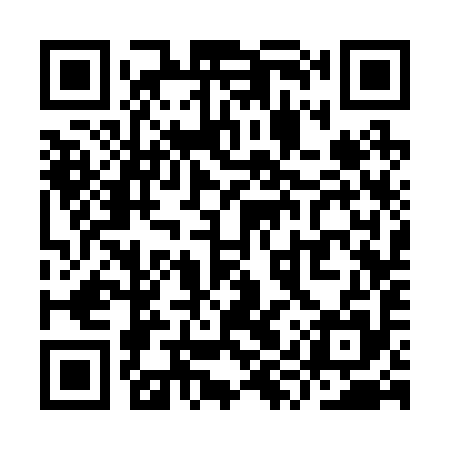 QR code for YYS295