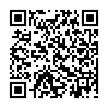 QR code for YYV397