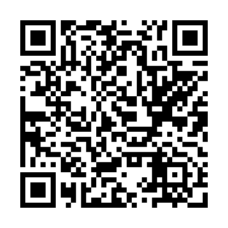 QR code for YYX653