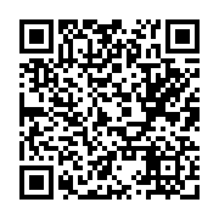 QR code for YYZ729