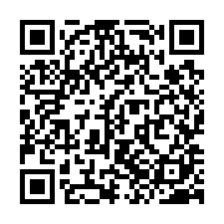 QR code for YZO781
