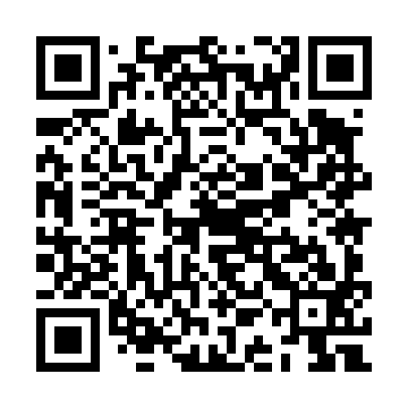 QR code for ZAM493