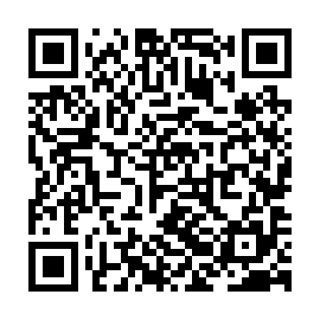 QR code for ZBN295