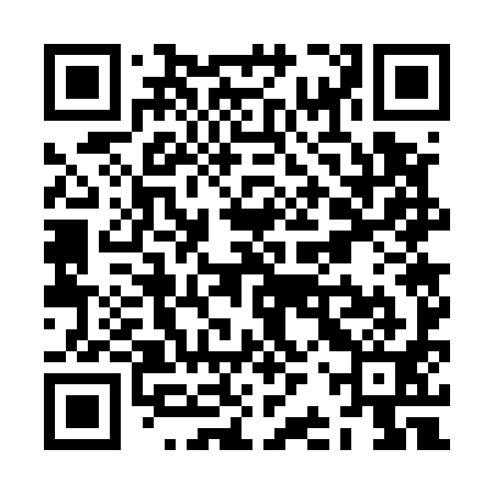 QR code for ZBW591