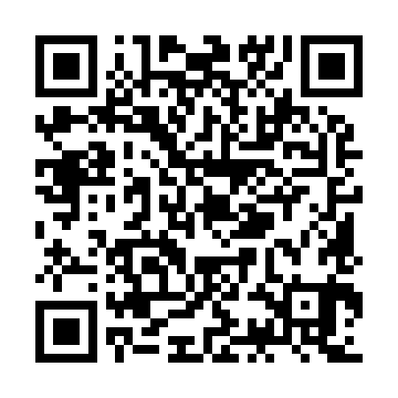 QR code for ZCM981