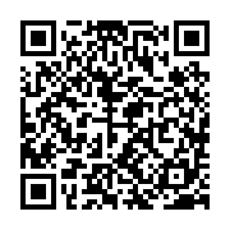 QR code for ZCX295