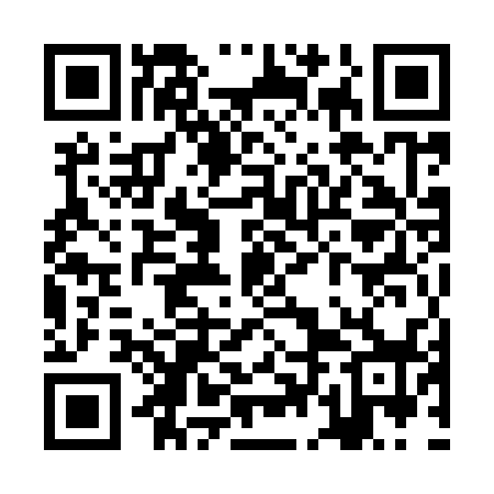 QR code for ZDM938
