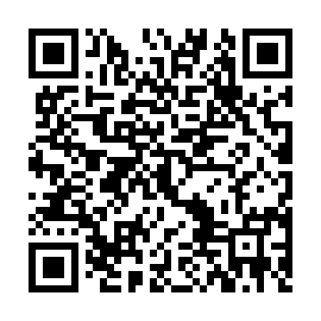 QR code for ZDN595