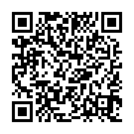 QR code for ZDN811