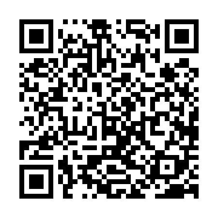 QR code for ZDP509
