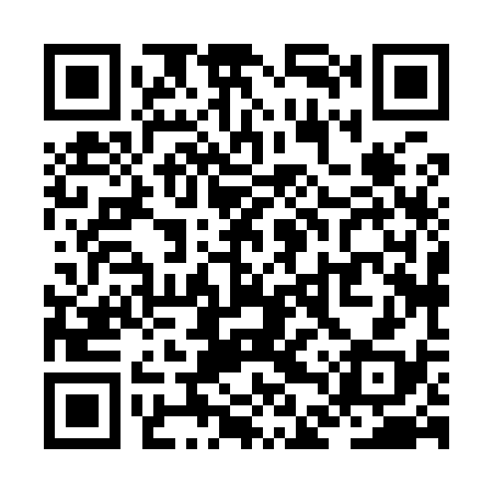 QR code for ZDX938