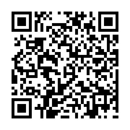 QR code for ZFV389