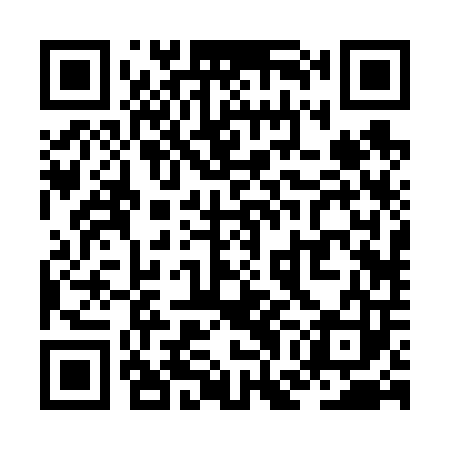QR code for ZGB603