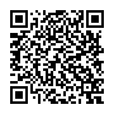 QR code for ZGP937