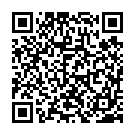 QR code for ZGZ617