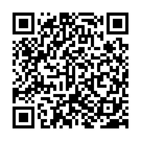 QR code for ZHI371
