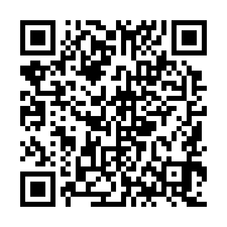 QR code for ZHI391