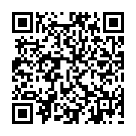 QR code for ZHL371