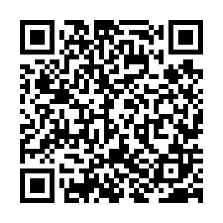 QR code for ZHN602