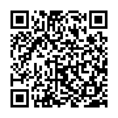 QR code for ZHT334