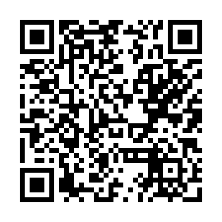 QR code for ZIN981