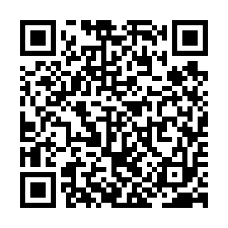 QR code for ZIS613