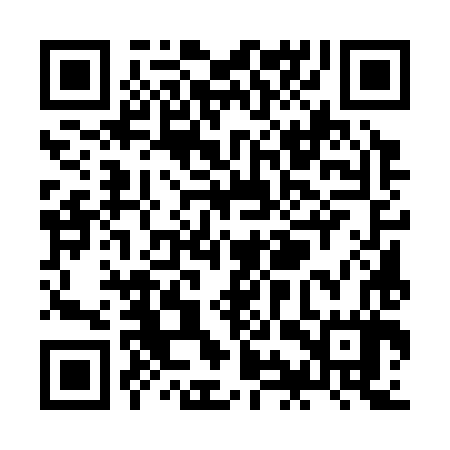 QR code for ZIU387