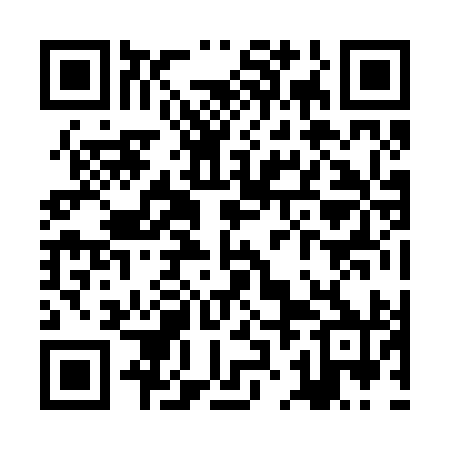 QR code for ZJJ290